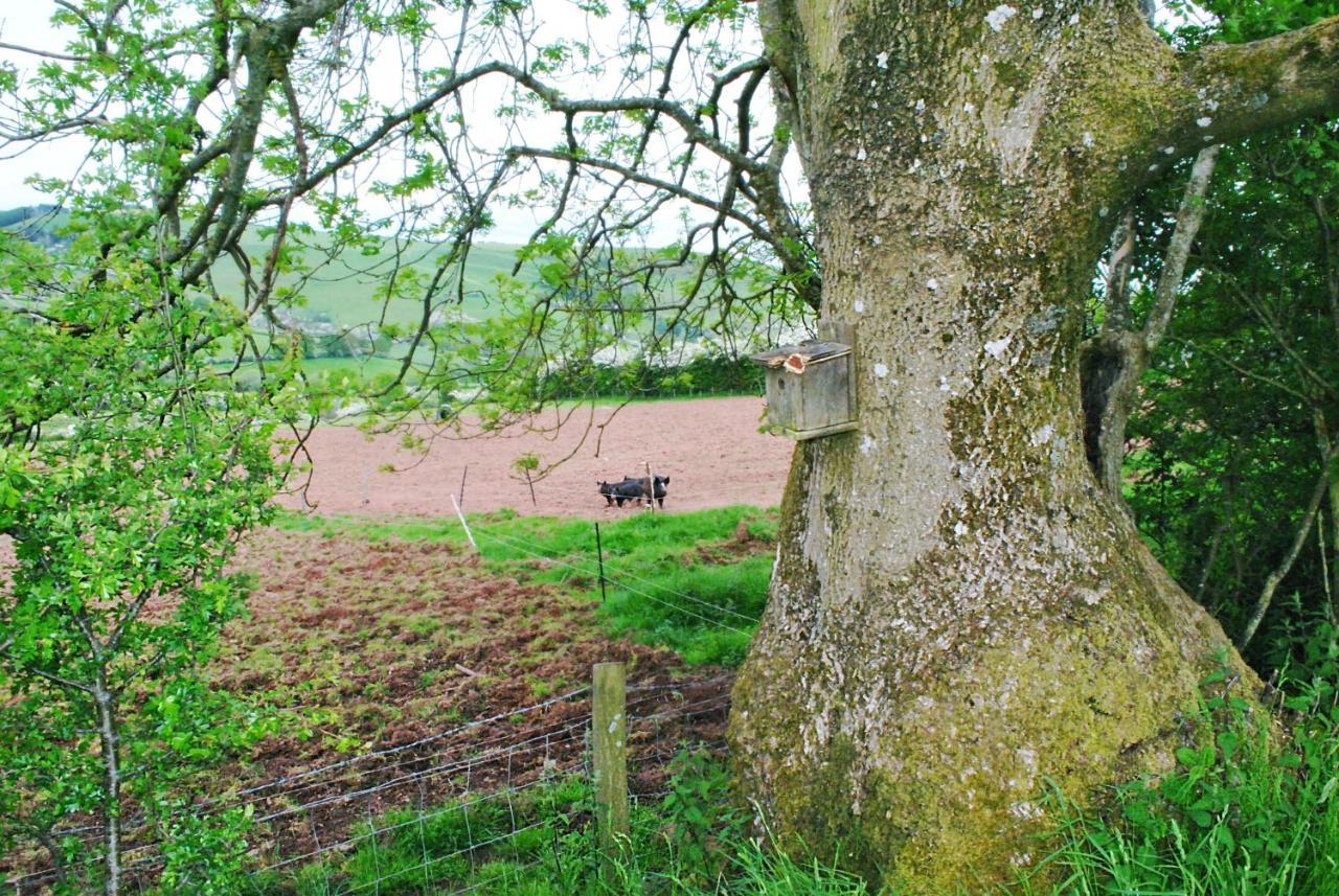 Eco Cottage Joe The Buck Craven Arms Ngoại thất bức ảnh