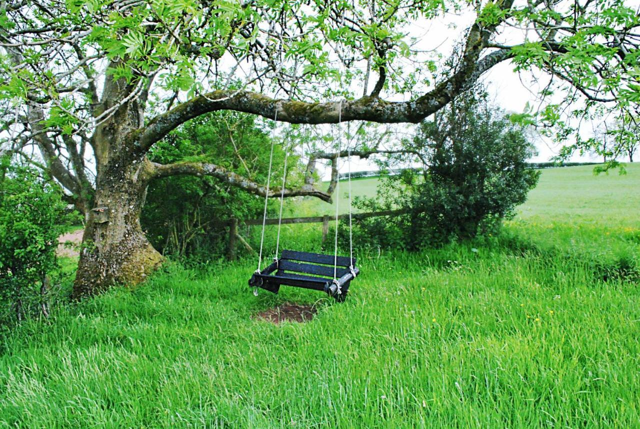 Eco Cottage Joe The Buck Craven Arms Ngoại thất bức ảnh