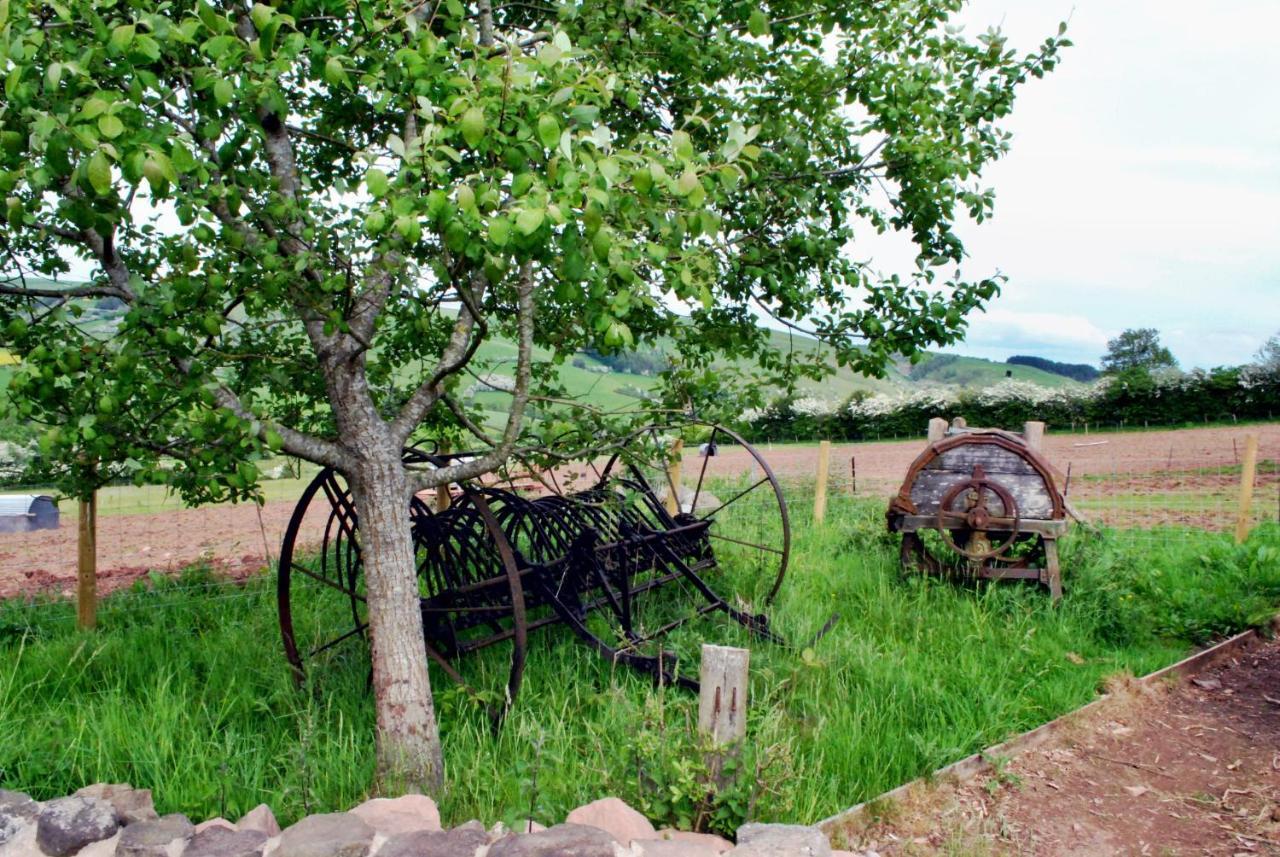 Eco Cottage Joe The Buck Craven Arms Ngoại thất bức ảnh