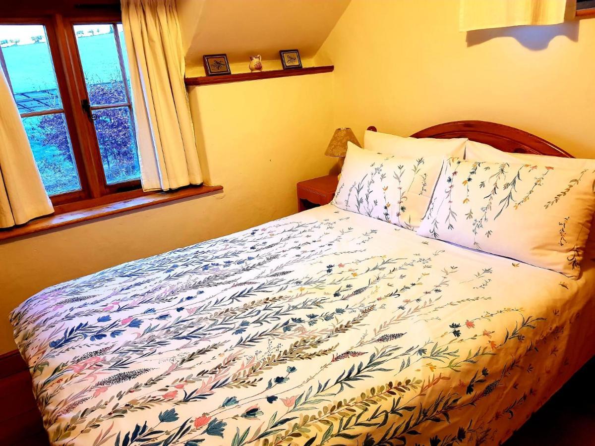 Eco Cottage Joe The Buck Craven Arms Ngoại thất bức ảnh
